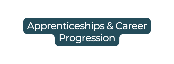 Apprenticeships Career Progression